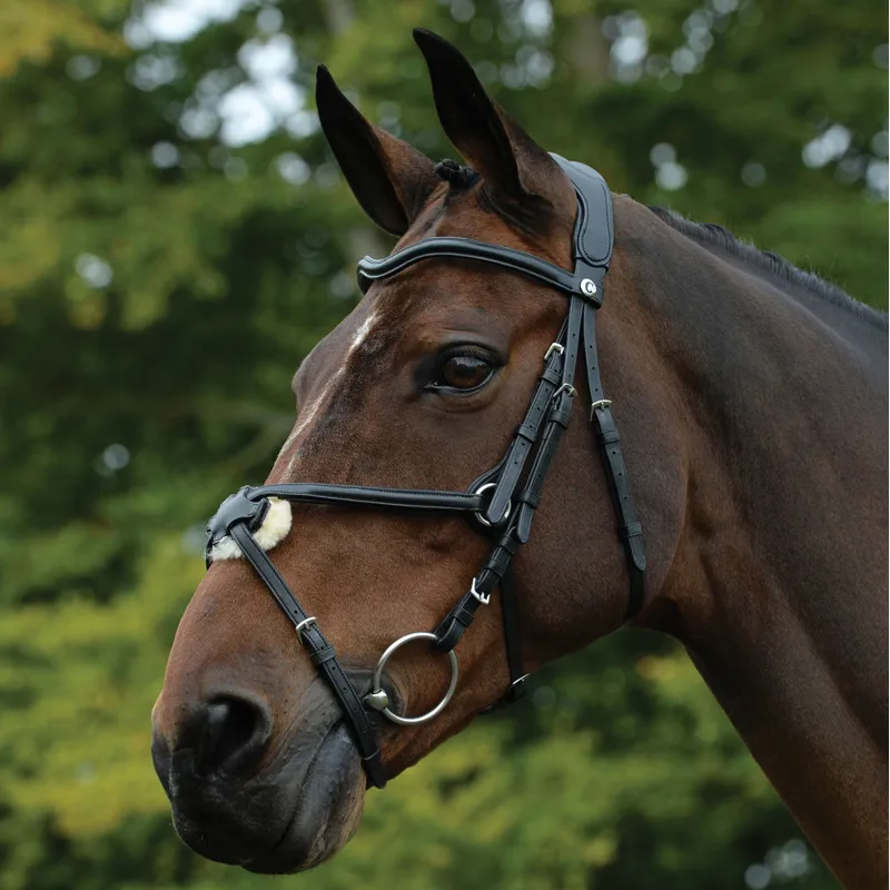 Collegiate ComFiTec Grackle Bridle - Black - TRIAL-1
