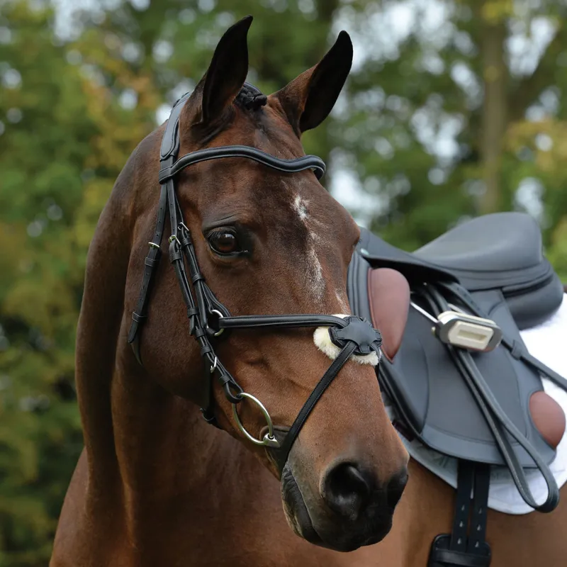 Collegiate ComFiTec Grackle Bridle - Black - TRIAL