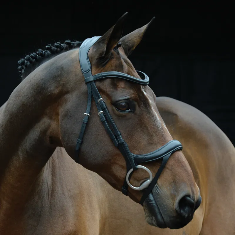 Collegiate ComFiTec Vogue Anatomical Bridle - Black - TRIAL