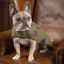 Digby and Fox Tweed Dog Coat - Red/Yellow/Blue Check