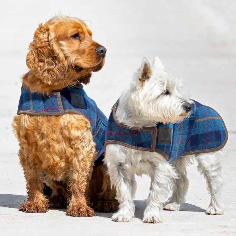 Digby and Fox Tweed Dog Coat - Navy-1