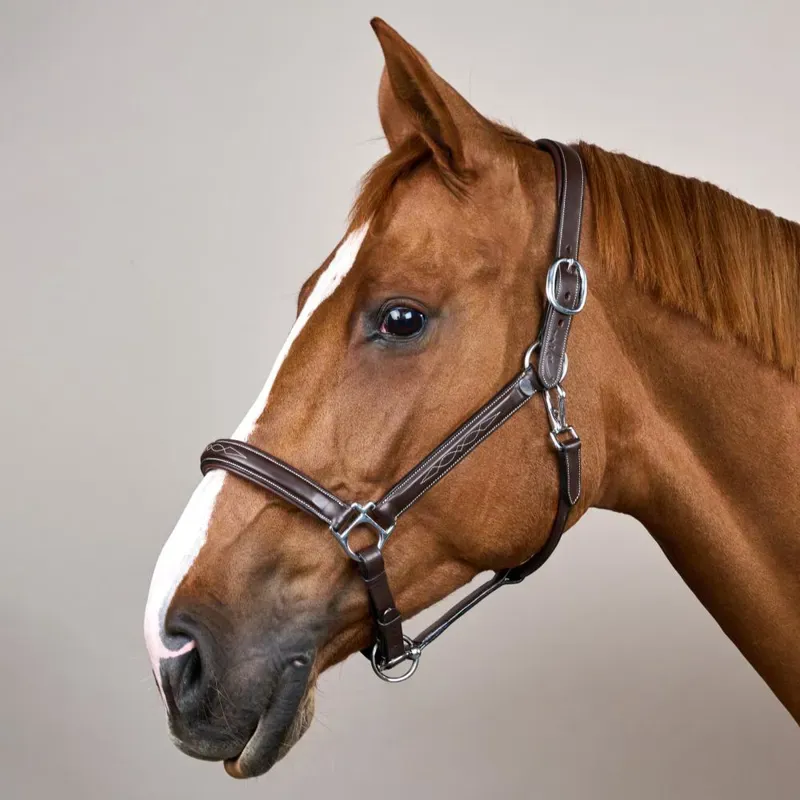 Dy'on Fancy Headcollar - Brown-1