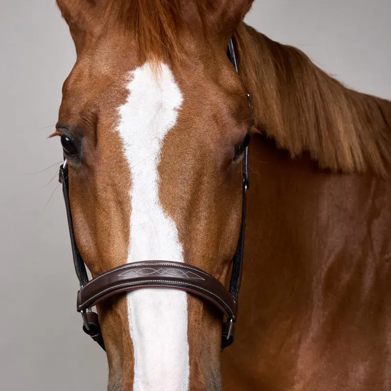 Dy'on Fancy Headcollar - Brown-3
