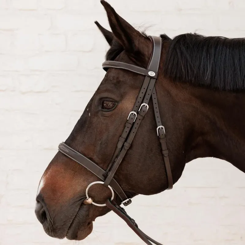 Dy'on Working Cavesson Hunter Bridle - Brown-1