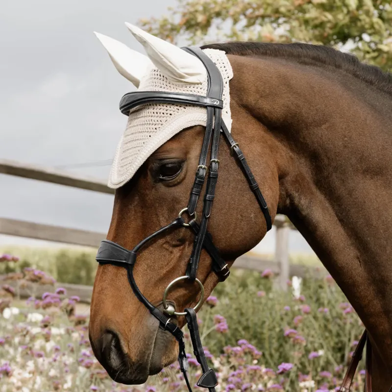 Dy'on Hybrid Anatomical Leather Noseband Bridle - Black-1