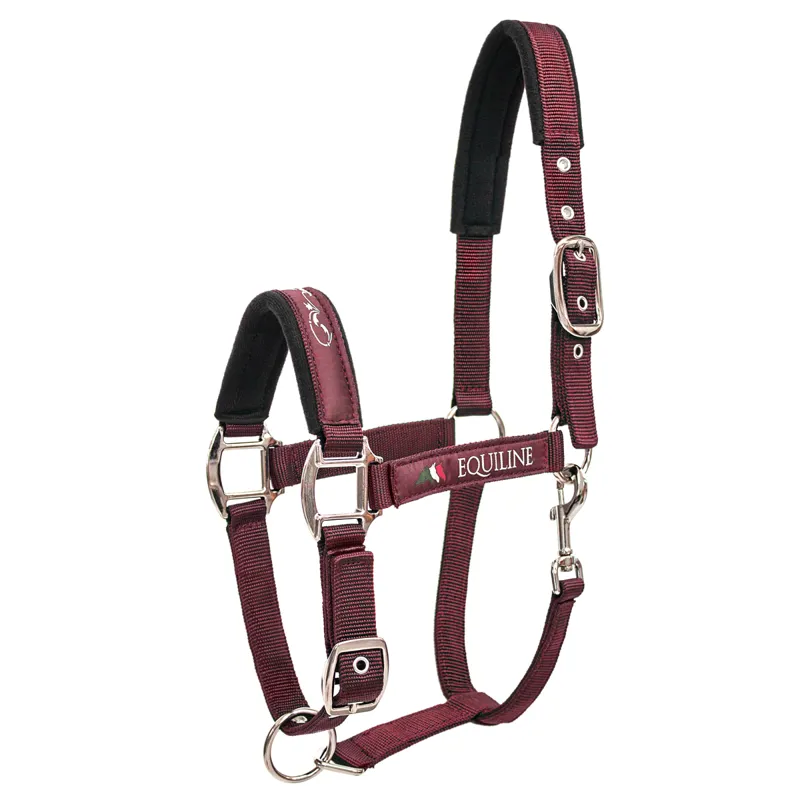Equiline Timmy Headcollar - Burgundy
