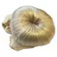 Equetech Bun Extension Hairnet - Light Blonde