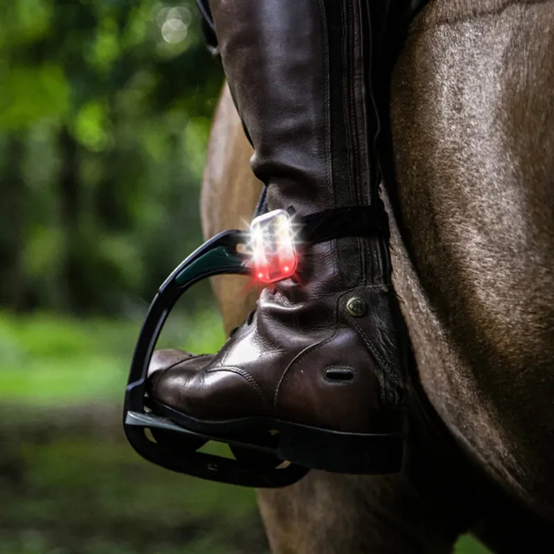 Equi Light Clip Light