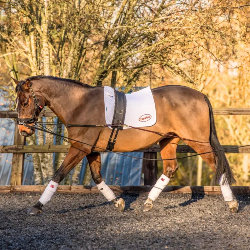 EquiAmi Lunge Aid