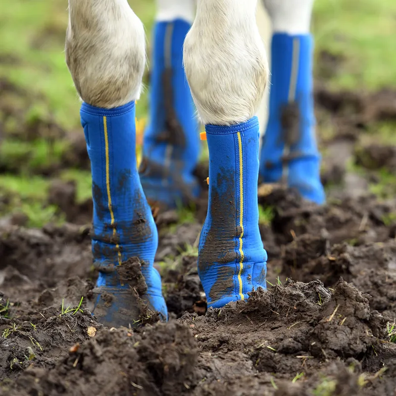 Equilibrium Equi-Chaps Close Contact Turnout Mud Chaps - Navy/Yellow-1