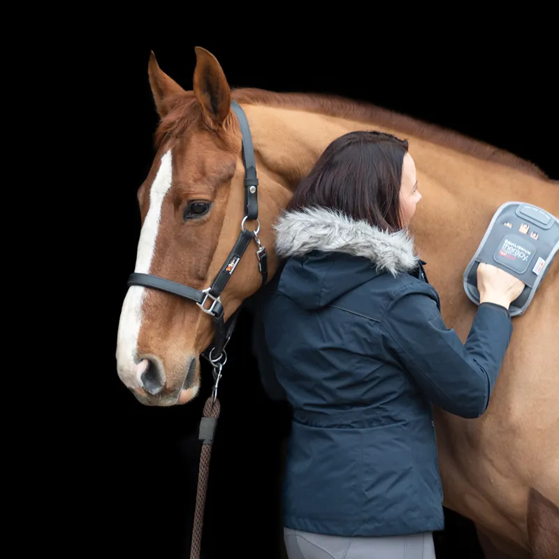Equilibrium Massage Mitt Hotspot-3