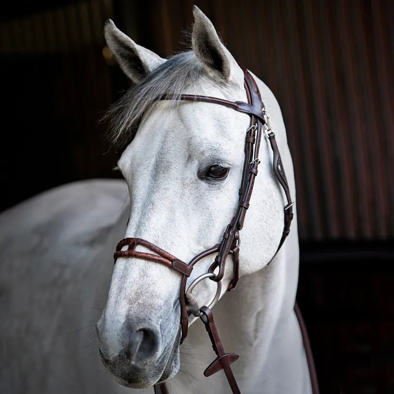 Equiline Anatomic NB0444 Rounded Rolled Noseband Bridle - Brown