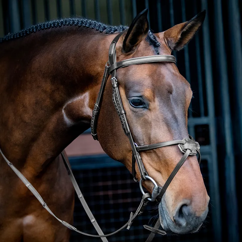 Equiline Anatomical NB0457 Grackle Bridle - Black