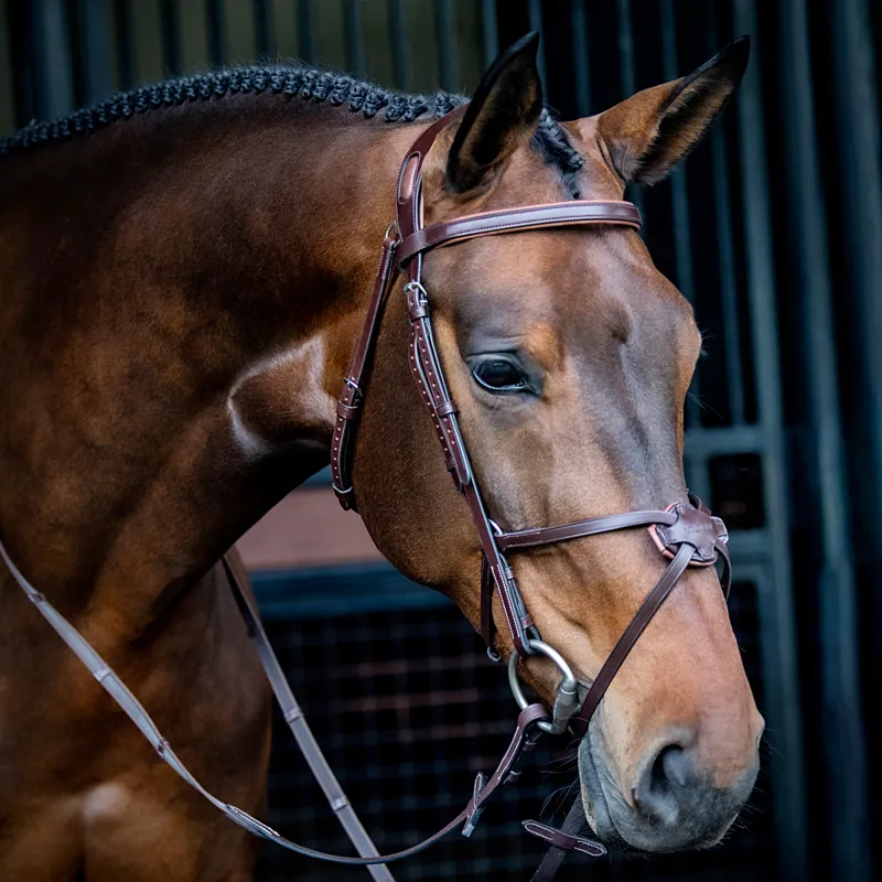 Equiline Anatomical NB0457 Grackle Bridle - Brown