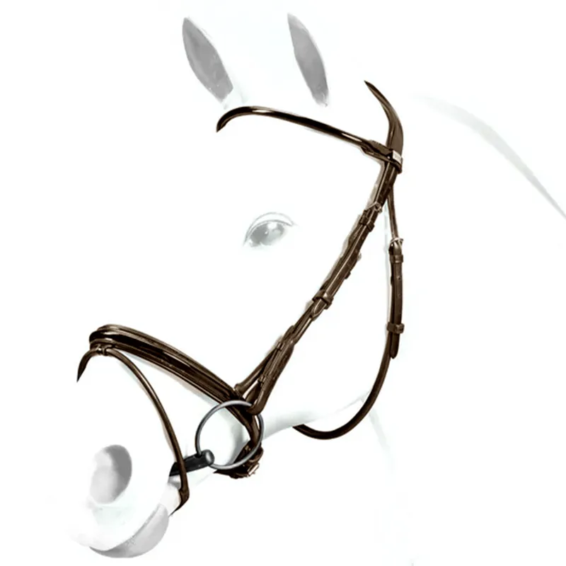 Equipe Rolled Patent Flash Bridle - Brown