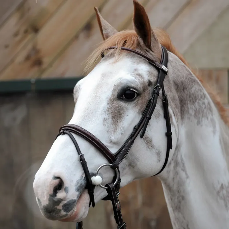 Equipe Rolled Patent Flash Bridle - Brown-1