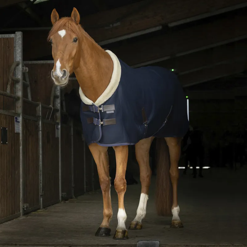 Equi-Theme Teddy Mesh Rug - Navy