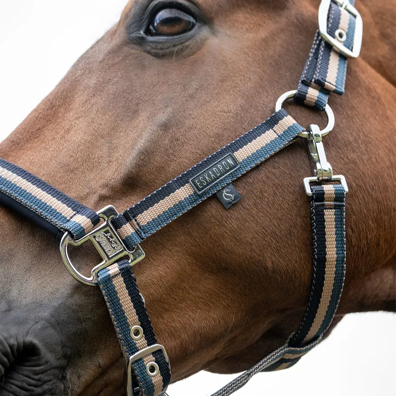 Eskadron Classic Sports Double Pin Headcollar - Ocean/Sierra/Navy-2