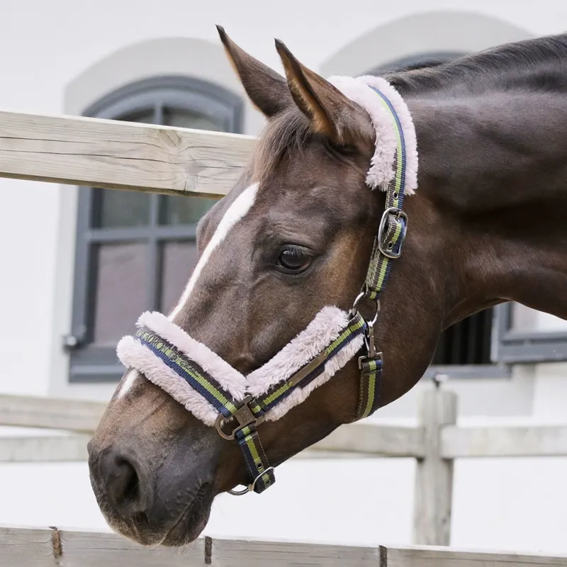 Eskadron Platinum Girth Faux Fur Headcollar - Moss Green-2