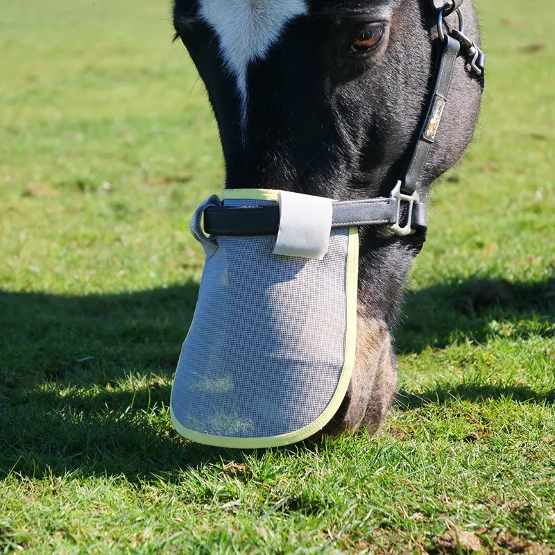 Equilibrium Field Relief Muzzle Protector for Headcollars - Grey