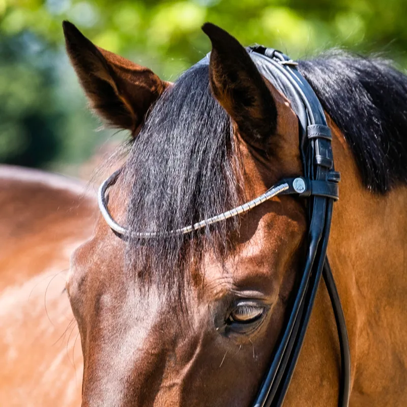 Finesse Cassidy Rolled Double Bridle - Patent Black/Silver-2