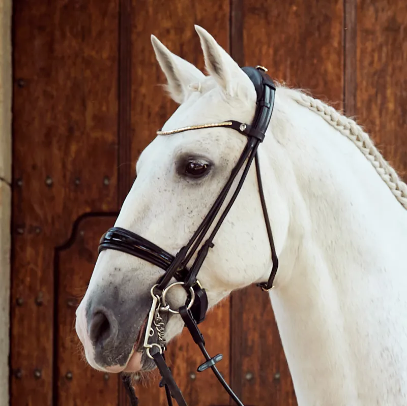 Finesse Cassidy Rolled Double Bridle - Patent Black/Silver