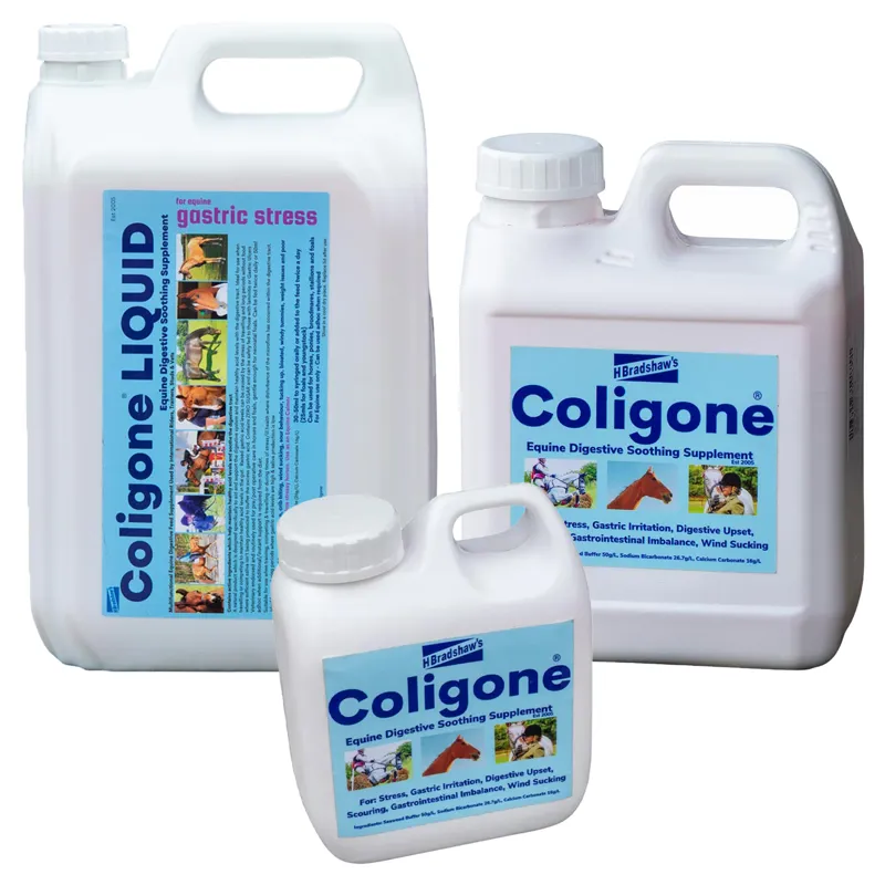 H Bradshaws Coligone Digestion Liquid