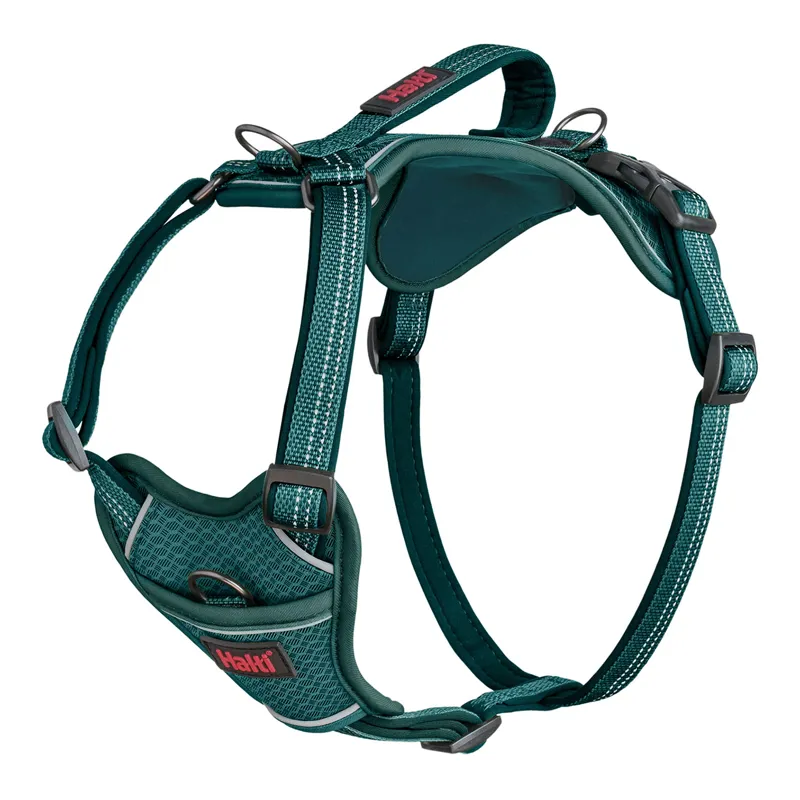 Halti Anatomy Dog Harness -Teal