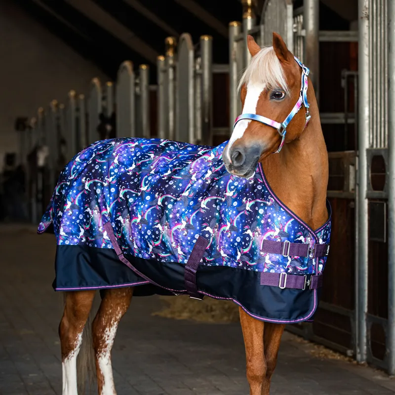 Horse Guard Josh 100g Pony Turnout Rug - Dutch Blue