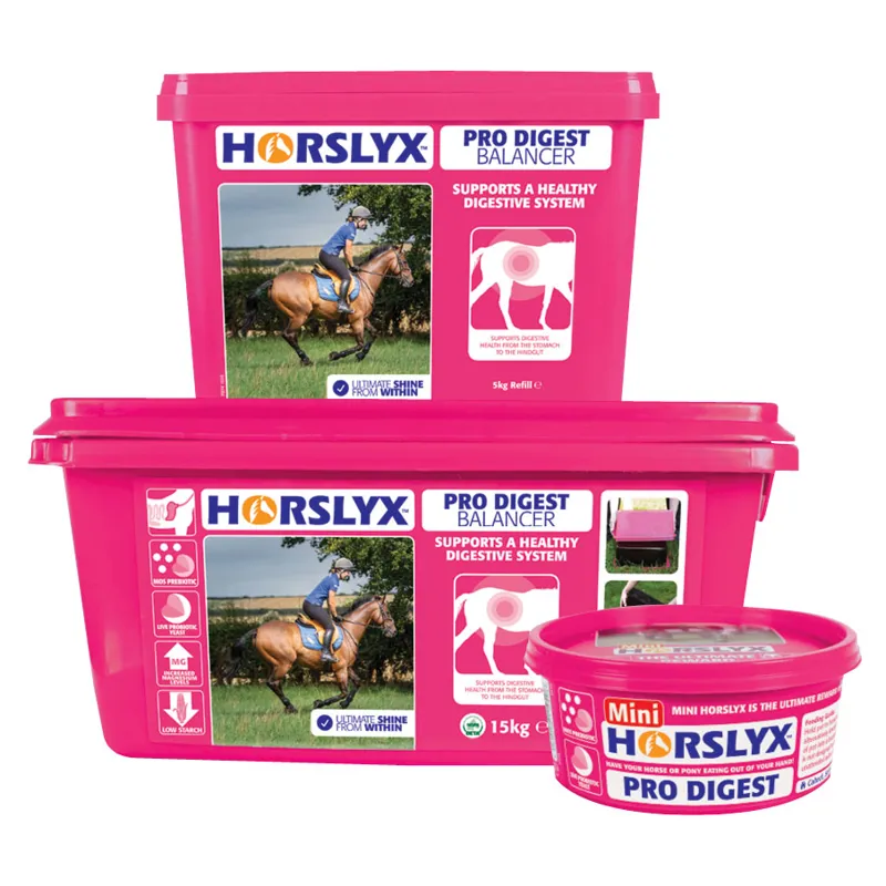 Horslyx Pro Digest Balancer Lick