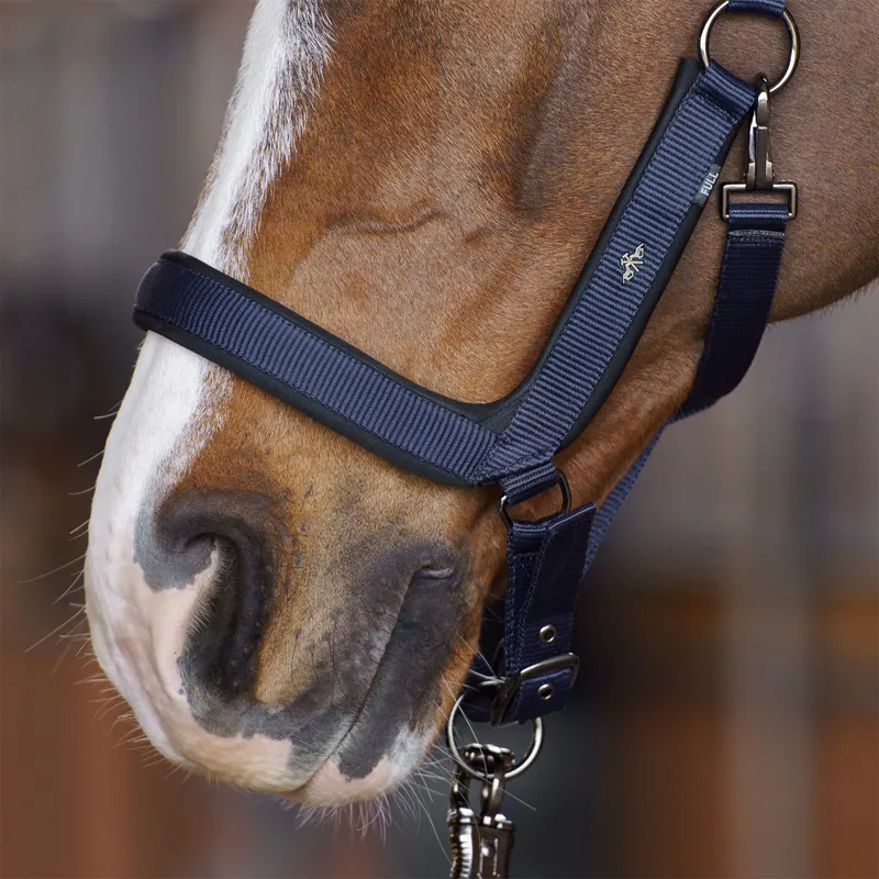 HV Polo Essential Anatomical Headcollar - Navy-2