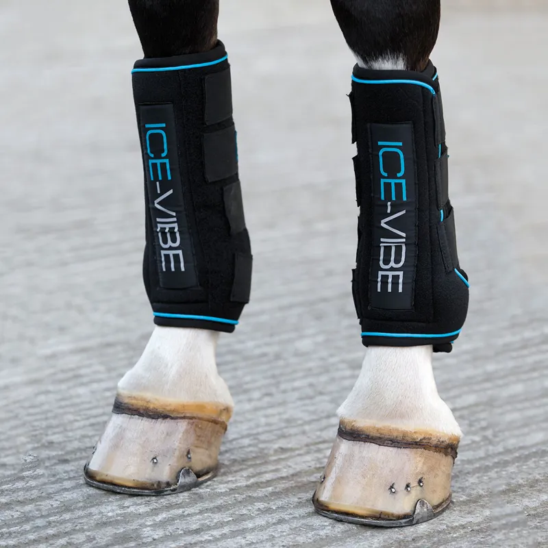 Horseware Ice-Vibe V1 Boots - Black/Aqua