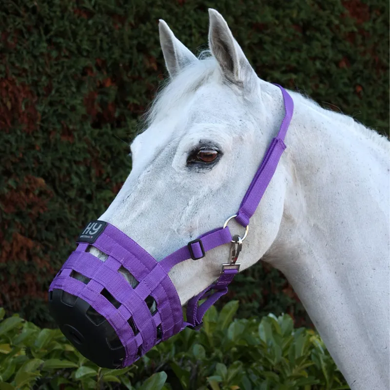 Hy Equestrian Grazing Muzzle - Purple-1