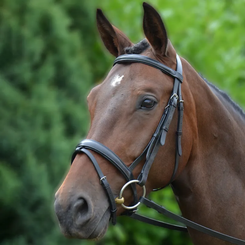 Hy Padded Flash Bridle with Rubber Grip Reins - Black