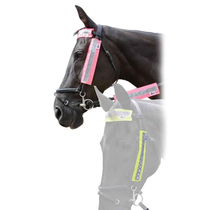 HyVIZ Fluorescent Bridle Kit - Pink