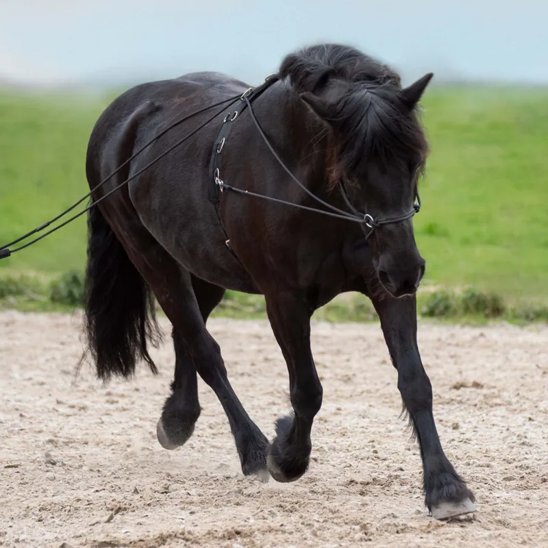 Imperial Riding Free Riding Double Lunge Line - Black-1