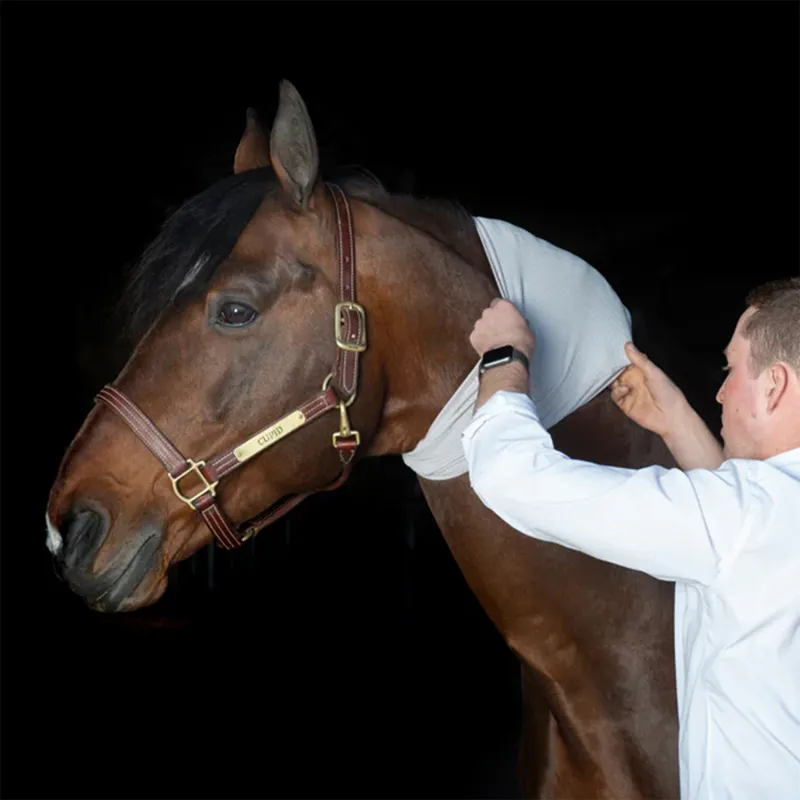 Incrediwear Equine Circulation Neck Sleeve-3