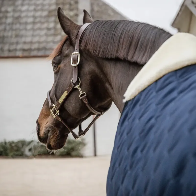 Kentucky 100g Comfort Stable Rug - Navy-2
