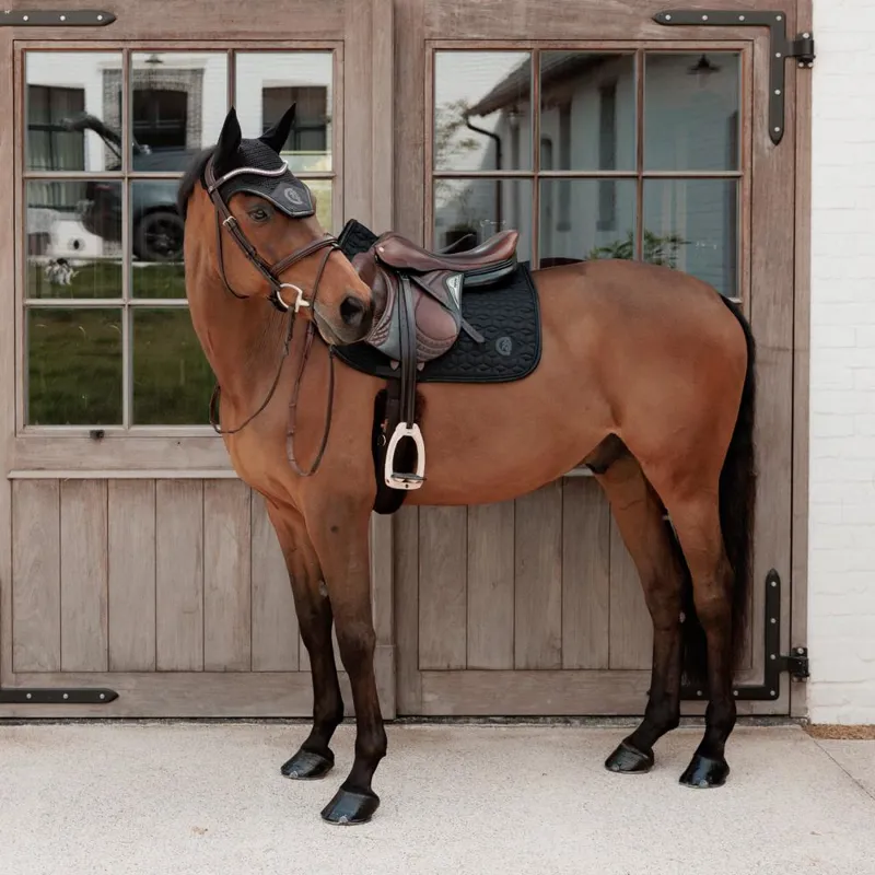 Kentucky Wellington Sparkling Logo Fly Veil - Black-3