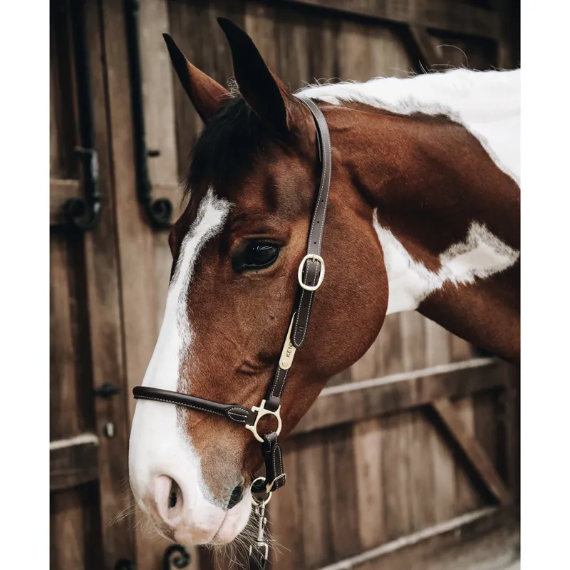 Kentucky Grooming Headcollar - Brown-1