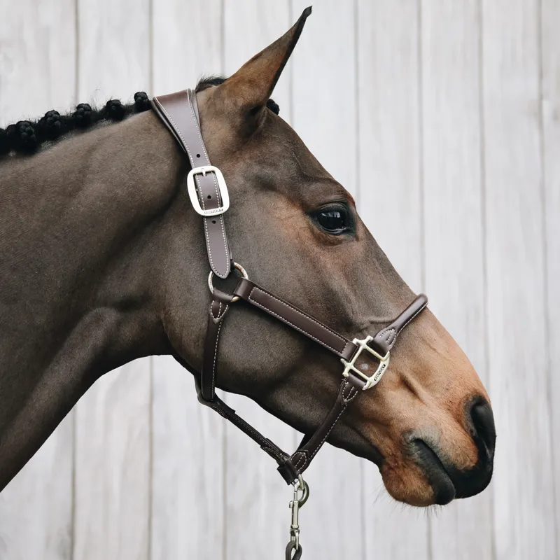 Kentucky Anatomic Artificial Leather Headcollar - Brown-1