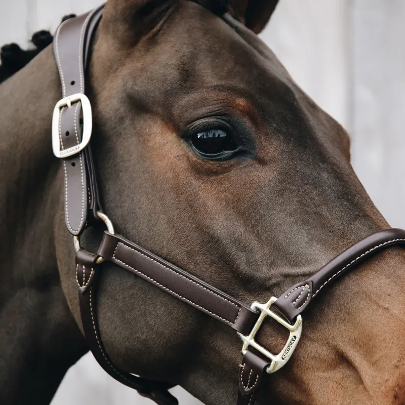 Kentucky Anatomic Artificial Leather Headcollar - Brown-3