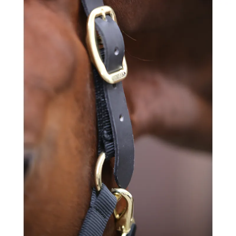 Kentucky Control Headcollar - Black-1