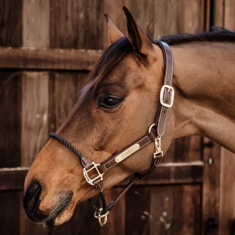 Kentucky Artificial Leather Rope Headcollar - Brown