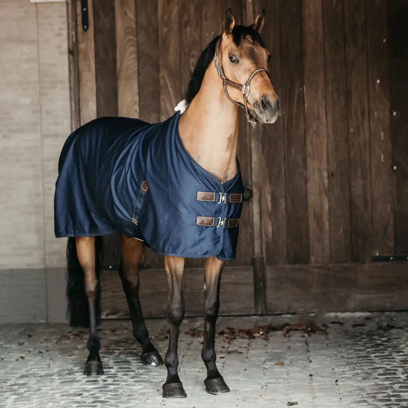 Kentucky Cotton Sheet Standard Neck Rug - Navy-1