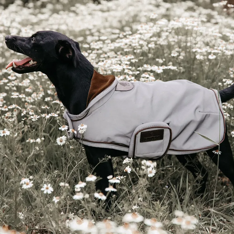 Kentucky Reflective Dog Coat - Silver