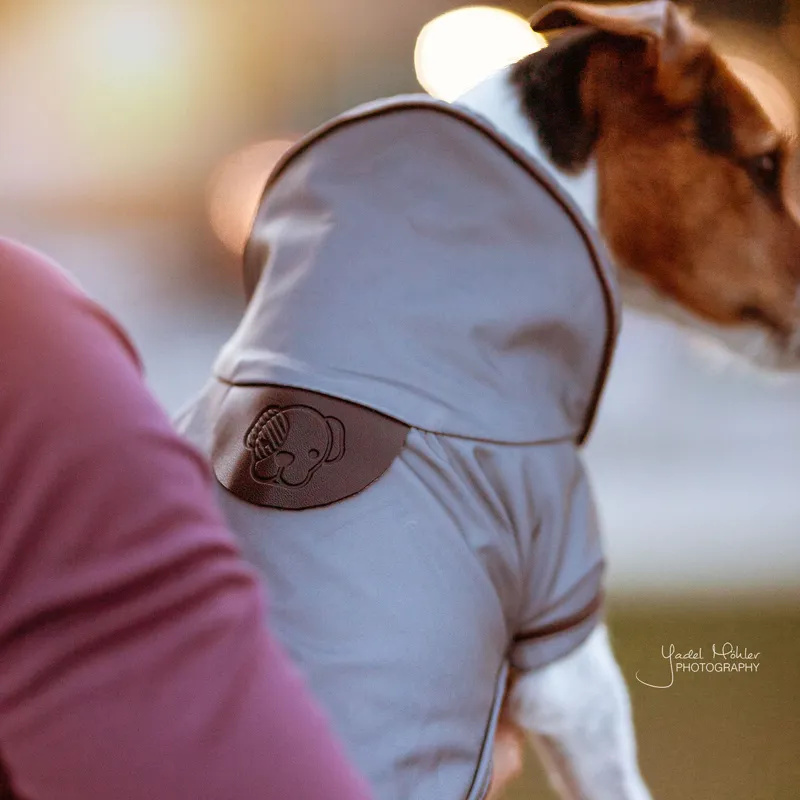 Kentucky Reflective Dog Coat - Silver-2