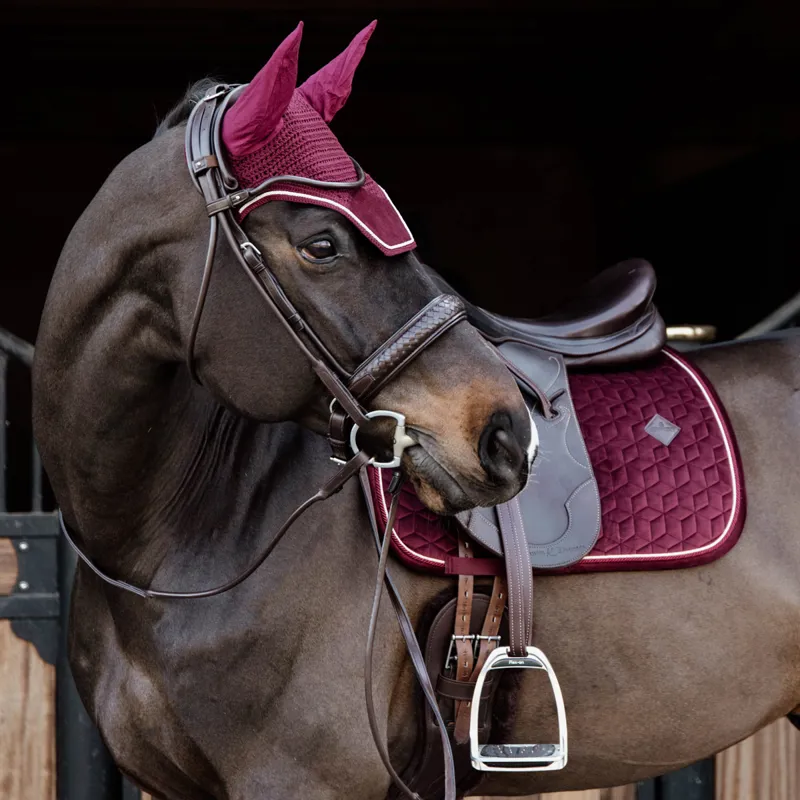 Kentucky Wellington Velvet Fly Veil - Bordeaux-3