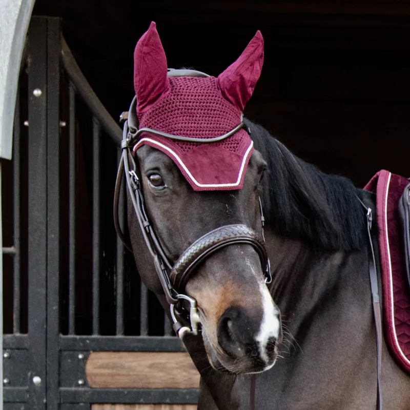 Kentucky Wellington Velvet Fly Veil - Bordeaux-1