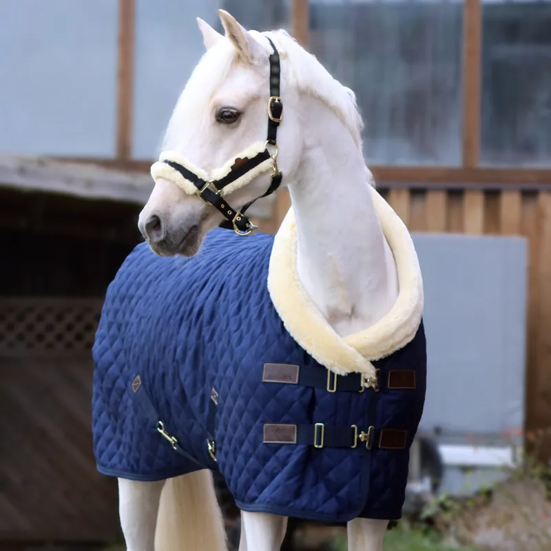 Kentucky 160g Show Rug - Navy-3